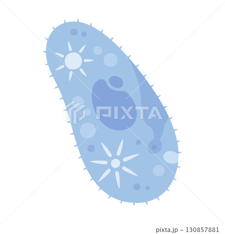 かわいいゾウリムシのイラスト素材 130857881