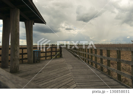 Paths along Narew National Park. Cloudy day. Paths along Narew National Park. Cloudy day. 130858031