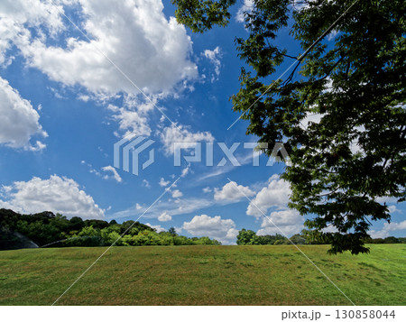夏雲湧く風景 夏雲湧く風景 130858044