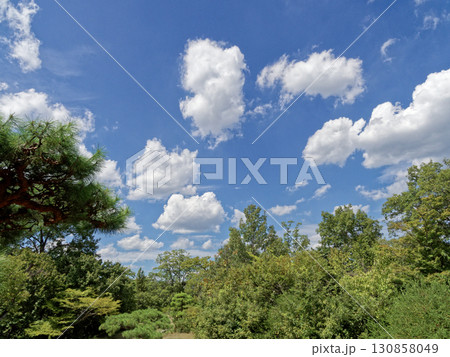 夏雲湧く風景 夏雲湧く風景 130858049