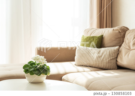 Cozy Living Room Corner with Sofa, Coffee Table and African Violet Cozy Living Room Corner with Sofa, Coffee Table and African Violet 130858103