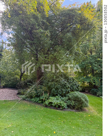 Enlgish green garden with multpiple type of trees and plants 130858502