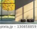 Bright autumn tree viewed through large window in modern interior with minimalist decor during afternoon light 130858859