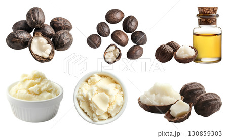 Shea nut seed plant kernel, many angles view pile stack, essential oil in bottle, husk shell, unshelled, shea butter isolated on transparent cutout PNG. Mockup template Shea nut seed plant kernel, many angles view pile stack, essential oil in bottle, husk shell, unshelled, shea butter isolated on transparent cutout PNG. Mockup template 130859303