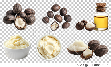 Shea nut seed plant kernel, many angles view pile stack, essential oil in bottle, husk shell, unshelled, shea butter isolated on transparent cutout PNG. Mockup template Shea nut seed plant kernel, many angles view pile stack, essential oil in bottle, husk shell, unshelled, shea butter isolated on transparent cutout PNG. Mockup template 130859303