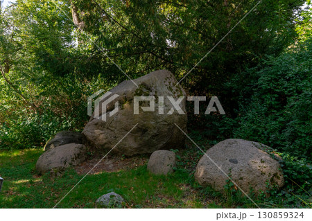 Large boulders and rocks covered with moss lie on the green grass, surrounded by dense vegetation and bushes. These rocks create a feeling of natural and organic composition, as if they had always bee 130859324