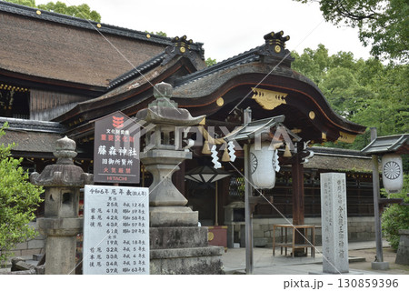 藤森神社　本殿(京都市伏見区) 130859396