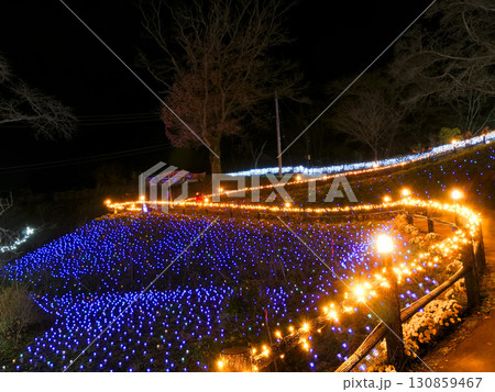 しばたファンタジーイルミネーション(船岡城址公園)【宮城県柴田郡柴田町】 しばたファンタジーイルミネーション(船岡城址公園)【宮城県柴田郡柴田町】 130859467