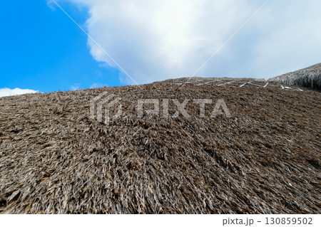 Background surface of straw roof in front of the blue sky and white clouds 130859502