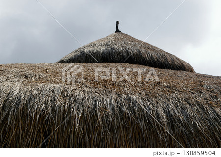 Background surface of straw roof in front of the cloudy sky Background surface of straw roof in front of the cloudy sky 130859504