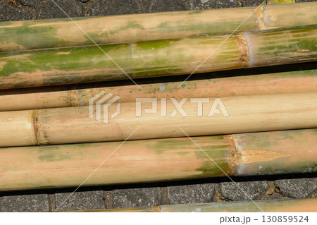 Huge and prepared for constructions yellow bamboo trunks placed on ground Huge and prepared for constructions yellow bamboo trunks placed on ground 130859524