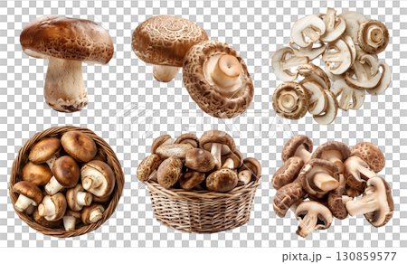 Shiitake shittake mushroom fungus fungi vegetable, many angles and view side top front basket slice isolated on transparent cutout, PNG file. Mockup template 130859577