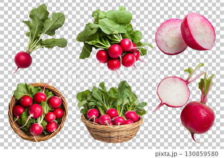 Red radish radishes root vegetable, many angles and view side top front basket pile slice isolated on transparent background cutout, PNG file. Mockup template 130859580