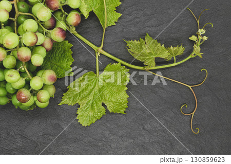 Grape twig on black stone background 130859623