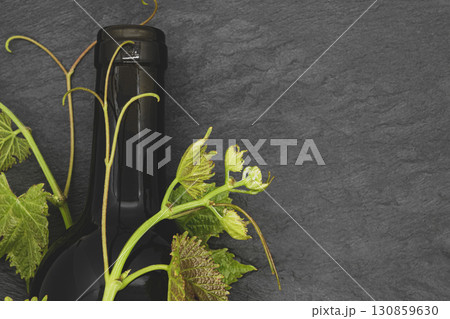Wine bottle and young grape twig Wine bottle and young grape twig 130859630