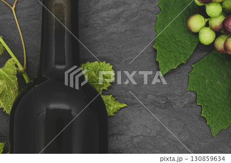 Wine bottle and young grape twig 130859634