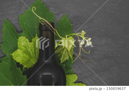Wine bottle and young grape twig with leaves 130859637