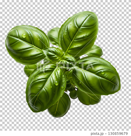 Fresh, juicy basil leaves, isolated on a white background. Ideal for cooking websites, healthy food blogs and promotional materials. 130859679