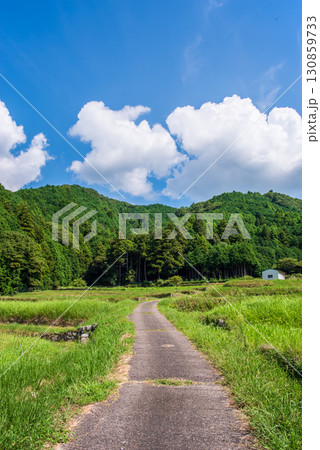 田舎の夏景色・ノスタルジックな風景《三重県 亀山市 坂本地区》 田舎の夏景色・ノスタルジックな風景《三重県 亀山市 坂本地区》 130859733