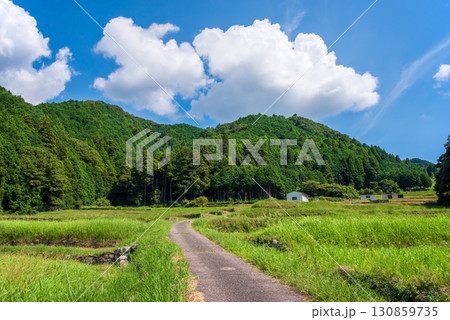 田舎の夏景色・ノスタルジックな風景《三重県 亀山市 坂本地区》 130859735