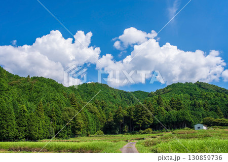 田舎の夏景色・ノスタルジックな風景《三重県 亀山市 坂本地区》 田舎の夏景色・ノスタルジックな風景《三重県 亀山市 坂本地区》 130859736