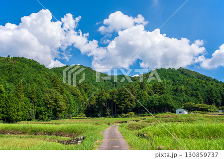 田舎の夏景色・ノスタルジックな風景《三重県 亀山市 坂本地区》 田舎の夏景色・ノスタルジックな風景《三重県 亀山市 坂本地区》 130859737