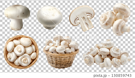 White champignon button Agaricus bisporus mushroom fungus fungi vegetable, many angles and view side top front basket slice isolated on transparent cutout, PNG file. Mockup template for artwork design 130859743