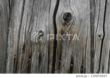 Background of Very Old Wood Board Wall with Rusty Nails 130859847