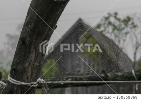 Background surface of spider web in front of house in foggy day Background surface of spider web in front of house in foggy day 130859869