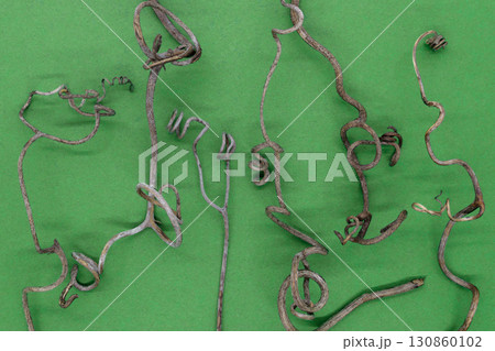 Abstract background of dry grape curled tendrils 130860102