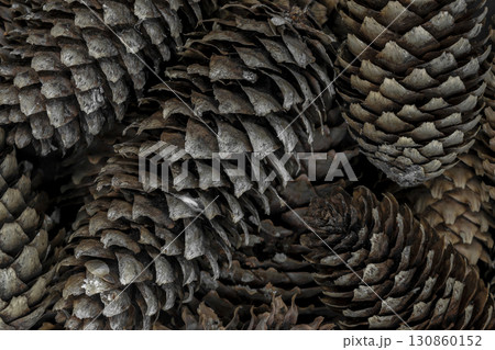 Fir Cones Brown and Sharp Macro Background Surface 130860152