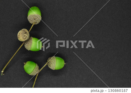 Green and young oak acorns on black background with copy space 130860187