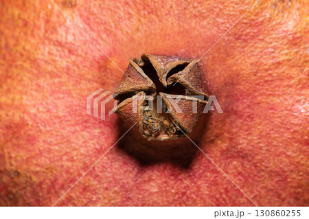 Macro background of pomegranate fruit Macro background of pomegranate fruit 130860255