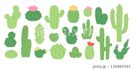 Cartoon cactus. Green blooming cacti with pink flowers. Succulents doodle set, desert plants and flower. Isolated nature elements, racy vector clipart Cartoon cactus. Green blooming cacti with pink flowers. Succulents doodle set, desert plants and flower. Isolated nature elements, racy vector clipart 130860591