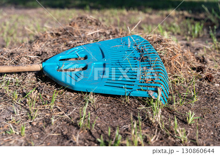 Blue plastic rake lying on grass and dirt, gardening tools for lawn care Blue plastic rake lying on grass and dirt, gardening tools for lawn care 130860644