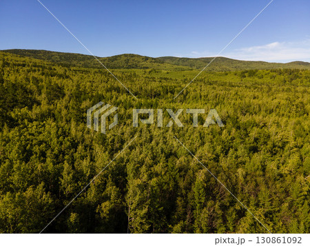 Expansive green forests of Vladivostok showcase nature's beauty Expansive green forests of Vladivostok showcase nature's beauty 130861092