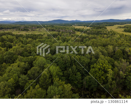 Vast green forests of Vladivostok with mountains in the background 130861114