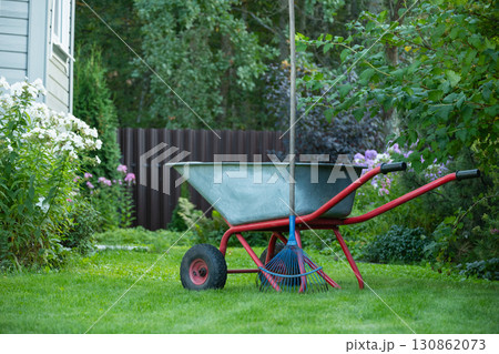 Wheelbarrow on green lawn backyard with well-groomed in private farmhouse. Season gardening before autumn. Outdoors. 130862073