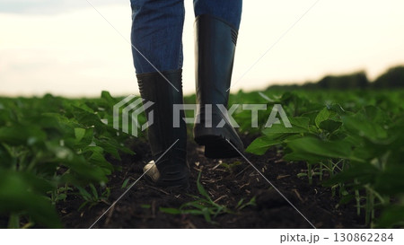 Agriculture, Rural boots pressing into dark soil, Healthy field with promising future, Nature and technology combined in farming, Calm morning on agricultural land, Farmer s attention to every detail Agriculture, Rural boots pressing into dark soil, Healthy field with promising future, Nature and technology combined in farming, Calm morning on agricultural land, Farmer s attention to every detail 130862284