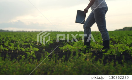Agriculture, Woman surveying farm rows, Field worker using digital device, Methodical crop checking, Innovation in food production, Farming efficiency tools, Agri-science improvements, Farming and 130862289
