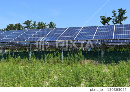 ソーラーパネル 自然エネルギー 130863025