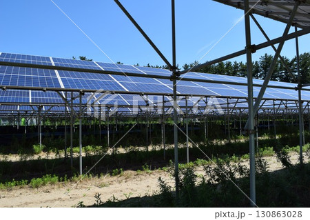 ソーラーパネル 自然エネルギー 130863028