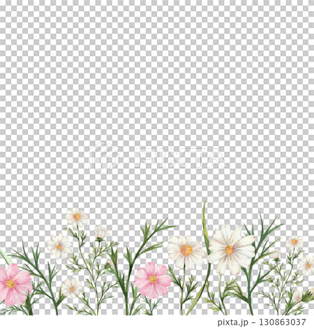 Watercolor template of wildflowers and butterflies with space for text. Chamomile, apple tree, cameo, clover. Composition of delicate flowers of white, pink and green. Isolated. Wedding, wallpapers. Watercolor template of wildflowers and butterflies with space for text. Chamomile, apple tree, cameo, clover. Composition of delicate flowers of white, pink and green. Isolated. Wedding, wallpapers. 130863037