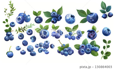 illustration blueberries plums style cartoonish colors details detailed 130864003