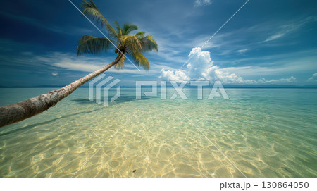 aerial view turquoise waters palm tree foreground sky aerial view turquoise waters palm tree foreground sky 130864050