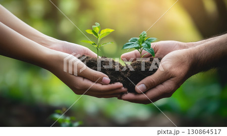 image hands plants way closeup holding positioned suggests 130864517
