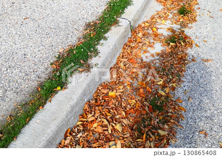 Autumn leaves along concrete curb Autumn leaves along concrete curb 130865408