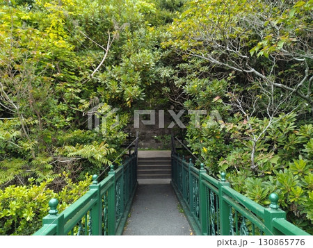 蓮の花のある風景 蓮の花のある風景 130865776
