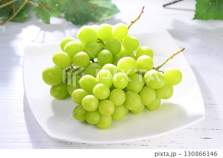 注意)背景の葉は造花です。一部レタッチ修正あり。朝日を浴びるシャインマスカット。 注意)背景の葉は造花です。一部レタッチ修正あり。朝日を浴びるシャインマスカット。 130866146