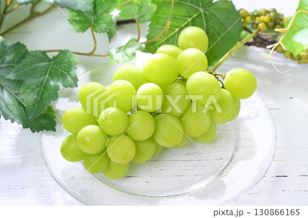 注意）背景の葉は造花です。一部レタッチ修正あり。朝日を浴びるシャインマスカット。 130866165